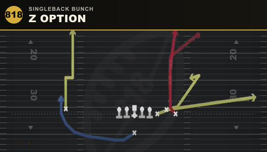 Z OPTION from Singleback Bunch