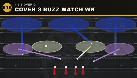 COVER 3 BUZZ MATCH WK from 4-2-5 Over G