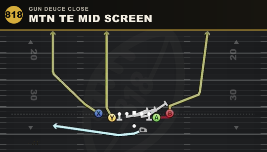 MTN TE MID SCREEN from Gun Deuce Close