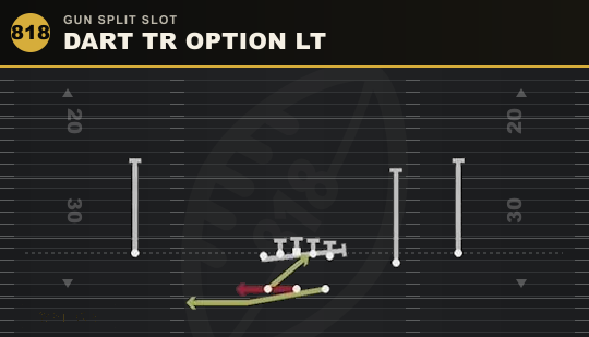 DART TR OPTION LT from Gun Split Slot