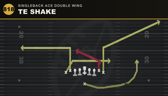 TE SHAKE from Singleback Ace Double Wing