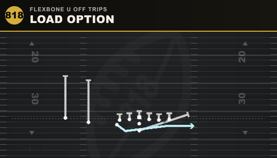 LOAD OPTION from Flexbone U Off Trips