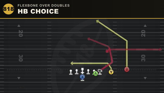 HB CHOICE from Flexbone Over Doubles