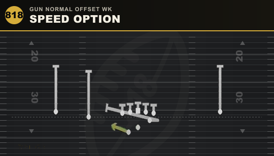 SPEED OPTION from Gun Normal Offset Wk