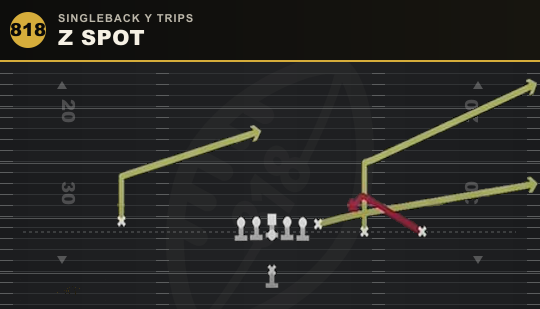 Z SPOT from Singleback Y Trips