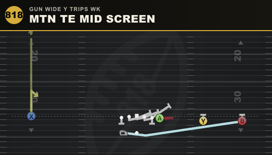 MTN TE MID SCREEN from Gun Wide Y Trips Wk