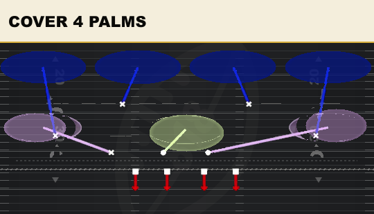 COVER 4 PALMS from Wide