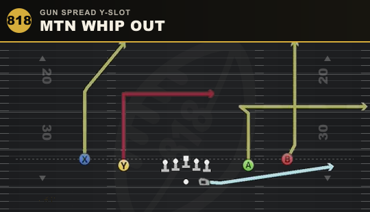 MTN WHIP OUT from Gun Spread Y-Slot