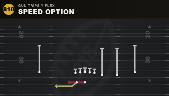 SPEED OPTION from Gun Trips Y-Flex