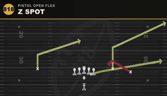 Z SPOT from Pistol Open Flex