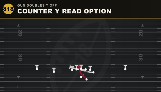 COUNTER Y READ OPTION from Gun Doubles Y Off