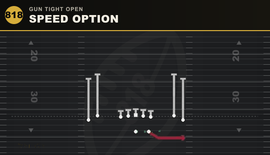 SPEED OPTION from Gun Tight Open