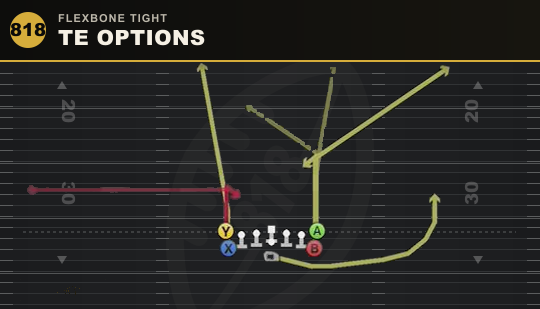 TE OPTIONS from Flexbone Tight