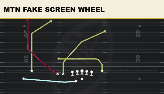 MTN FAKE SCREEN WHEEL from Trips TE Flex Close Wk