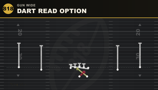 DART READ OPTION from Gun Wide