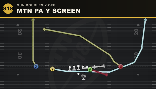 MTN PA Y SCREEN from Gun Doubles Y Off