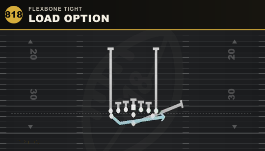 LOAD OPTION from Flexbone Tight