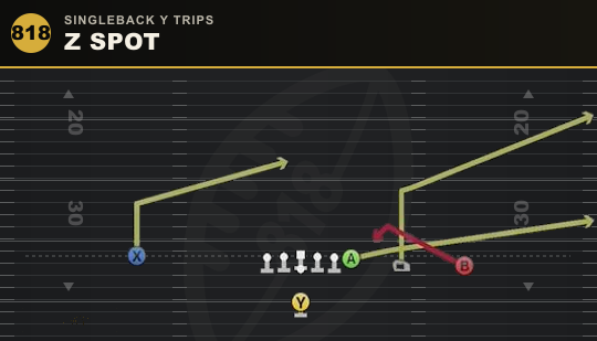 Z SPOT from Singleback Y Trips