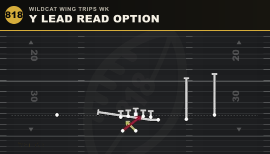 Y LEAD READ OPTION from Wildcat Wing Trips Wk
