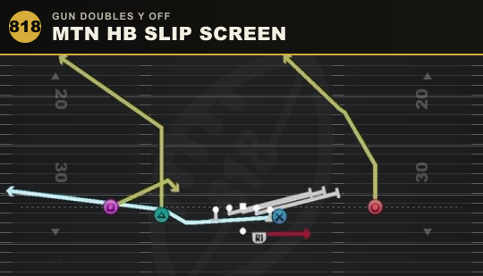 MTN HB SLIP SCREEN from Gun Doubles Y Off