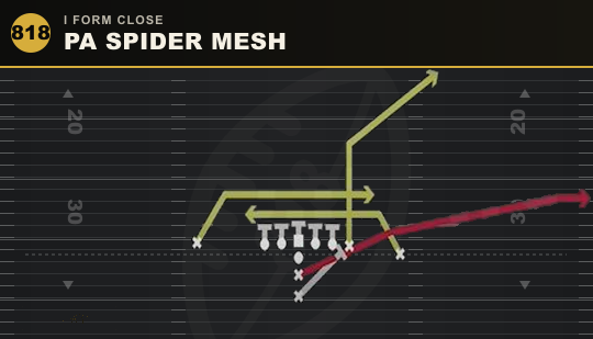 PA SPIDER MESH from I Form Close