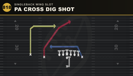 PA CROSS DIG SHOT from Singleback Wing Slot