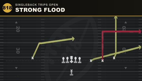 STRONG FLOOD from Singleback Trips Open