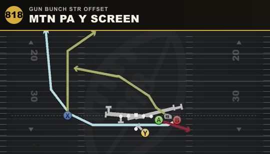 MTN PA Y SCREEN from Gun Bunch Str Offset
