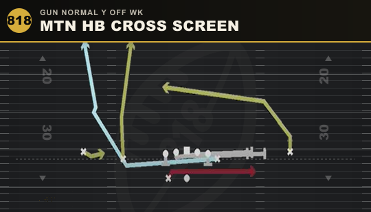 MTN HB CROSS SCREEN from Gun Normal Y Off Wk