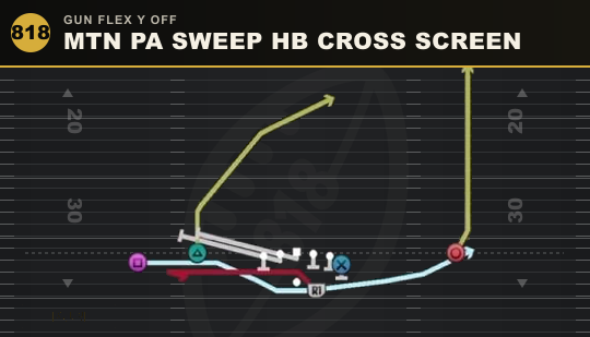 MTN PA SWEEP HB CROSS SCREEN from Gun Flex Y Off