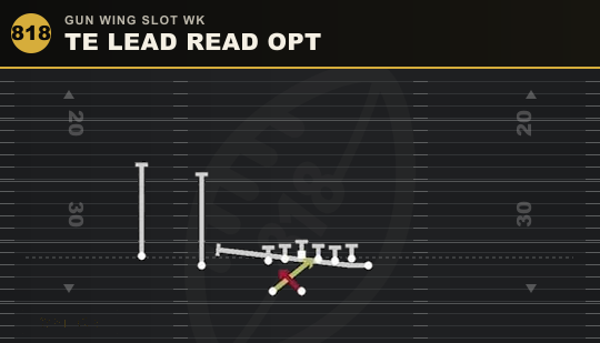 TE LEAD READ OPT from Gun Wing Slot Wk