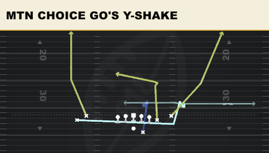 MTN CHOICE GO'S Y-SHAKE from Doubles Clamp Stack