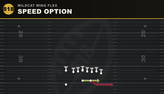 SPEED OPTION from Wildcat Wing Flex