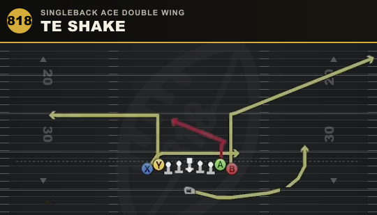 TE SHAKE from Singleback Ace Double Wing