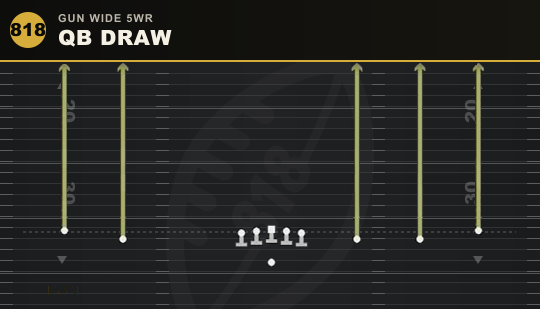 QB DRAW from Gun Wide 5WR