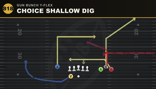 CHOICE SHALLOW DIG from Gun Bunch Y-Flex