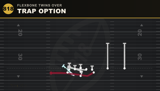 TRAP OPTION from Flexbone Twins Over