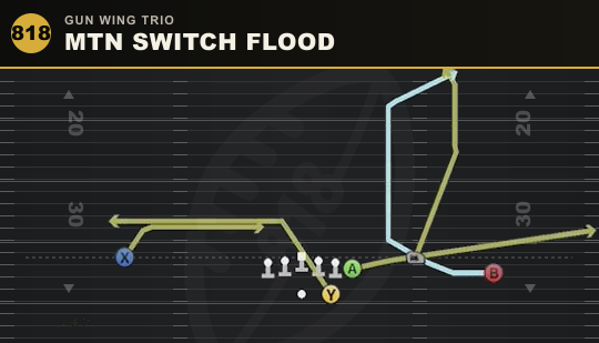 MTN SWITCH FLOOD from Gun Wing Trio
