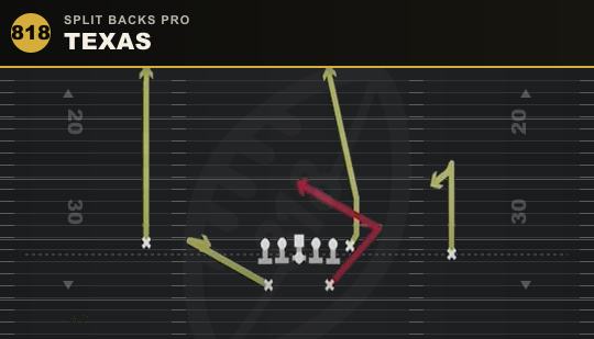 TEXAS from Split Backs Pro