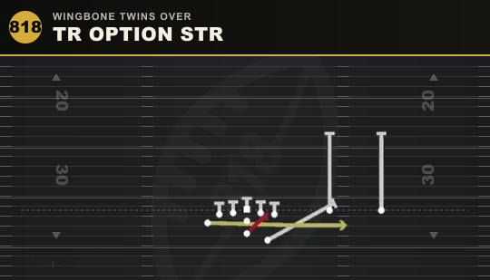 TR OPTION STR from Wingbone Twins Over