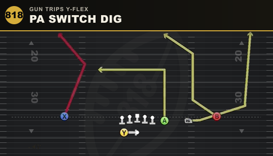 PA SWITCH DIG from Gun Trips Y-Flex