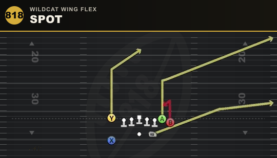 SPOT from Wildcat Wing Flex