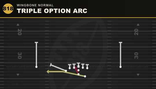TRIPLE OPTION ARC from Wingbone Normal