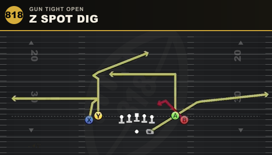 Z SPOT DIG from Gun Tight Open