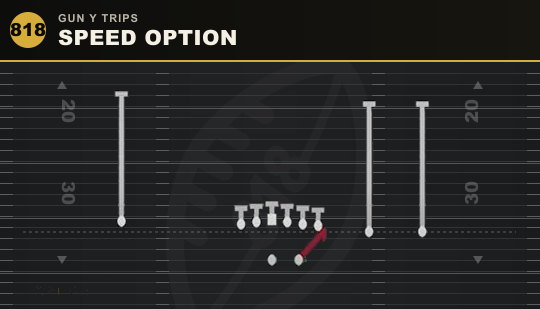 SPEED OPTION from Gun Y Trips