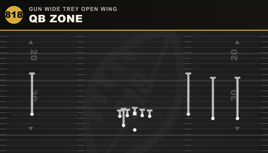 QB ZONE from Gun Wide Trey Open Wing