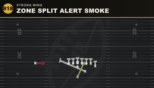 ZONE SPLIT ALERT SMOKE from Strong Wing