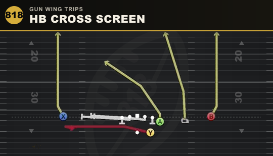 HB CROSS SCREEN from Gun Wing Trips