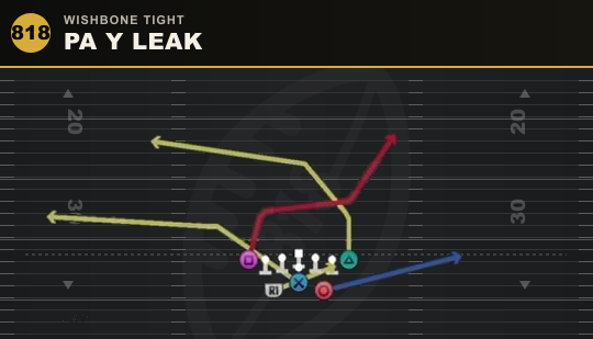 PA Y LEAK from Wishbone Tight