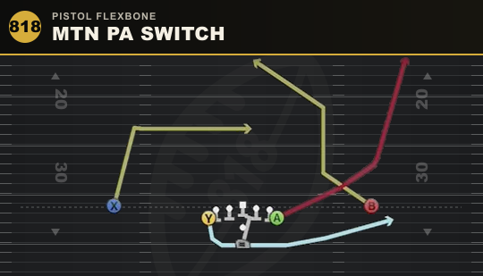 MTN PA SWITCH from Pistol Flexbone